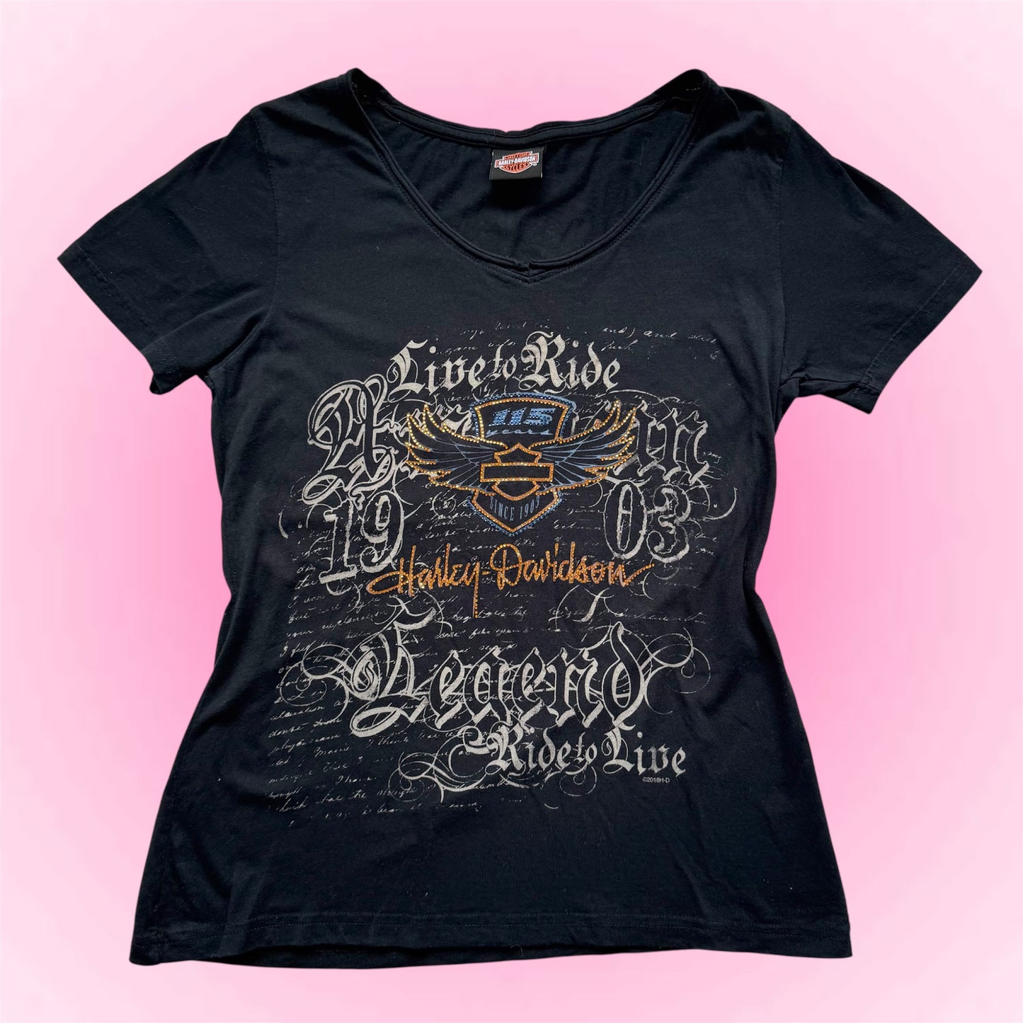 Harley-Davidson Graphic T-Shirt (M)
