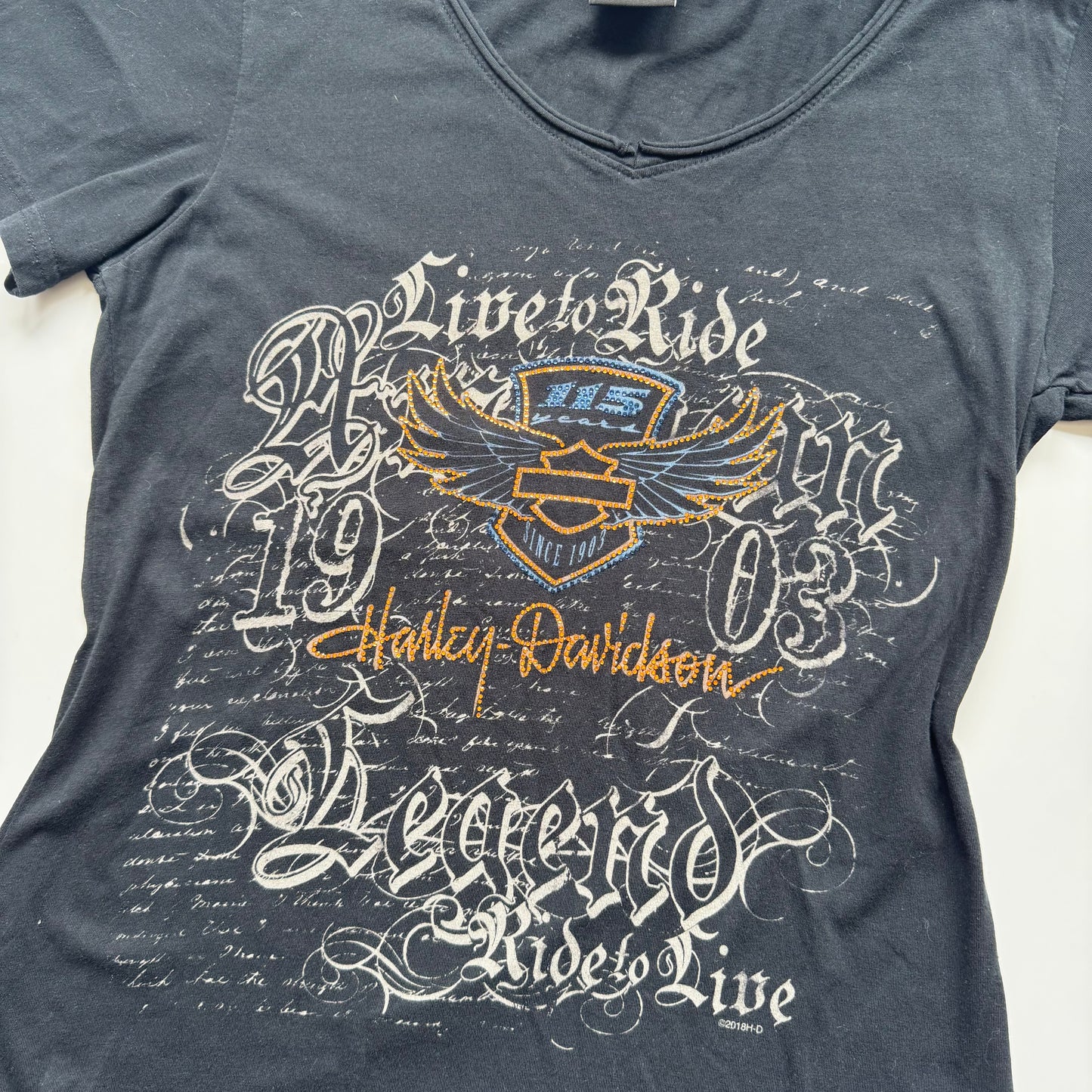Harley-Davidson Graphic T-Shirt (M)